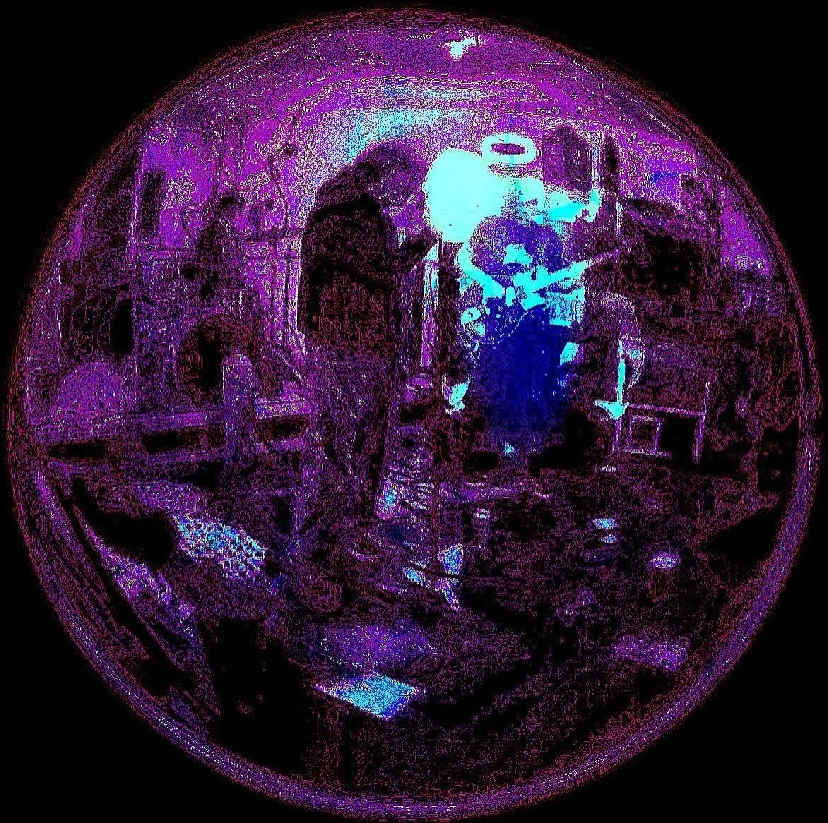Lobotomy Skat 12/01/2024